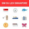mua sim 4G Singapore ở Việt Nam